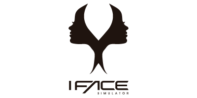 3.1 Iface simulator