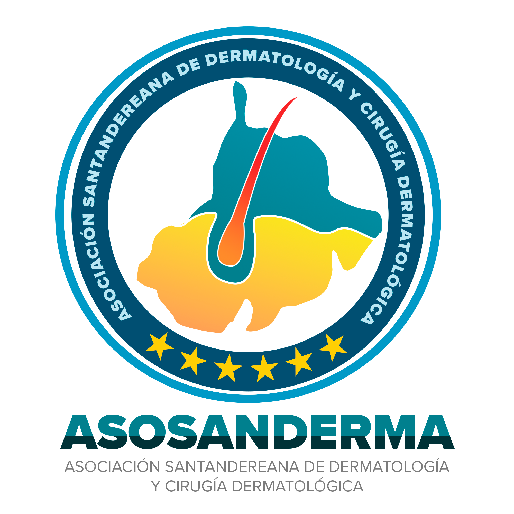 4.1 ASOCOLDERMA (Asociación Colombiana de Dermatología y Cirugía Dermatología)