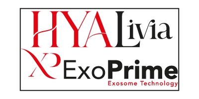 3.1 EXOPRIME INTERNATIONAL 3.1 EXOPRIME INTERNATIONAL